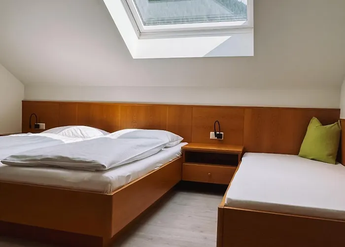 Antonia Apartamento Dorfgastein