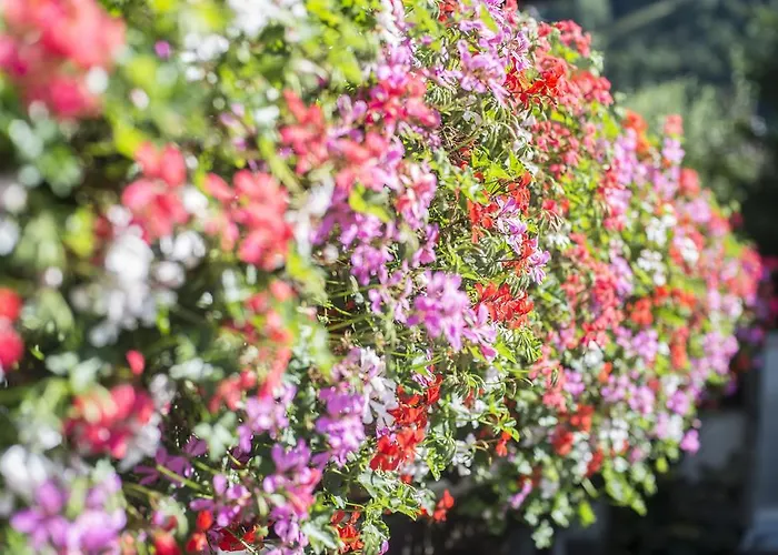 Apartamento Antonia *